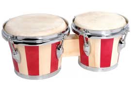 bongo